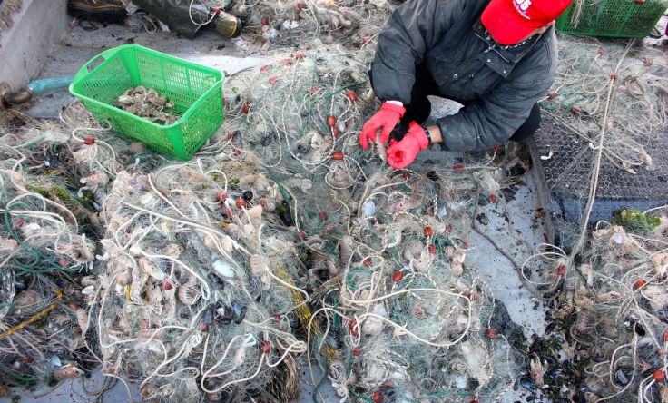 Pesca delle Cannocchie Foto di Domenico Arena